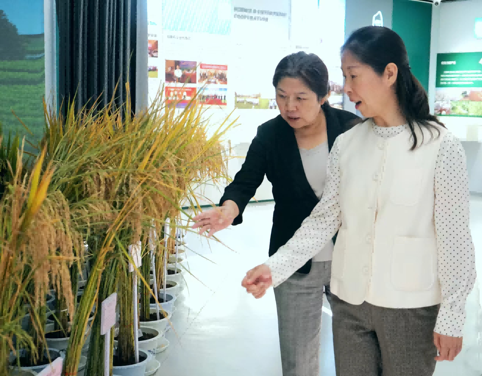 圖片1.png 圖片1.png